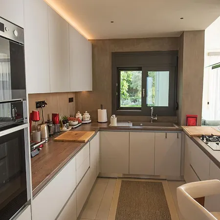Villa Aerinos Private Lefkada City