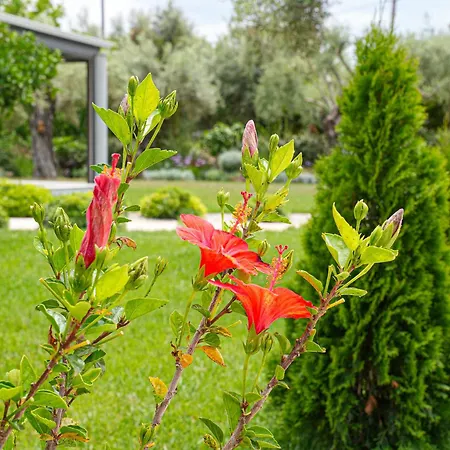 Aerinos Private Lefkada City