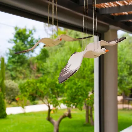 Villa Aerinos Private Lefkáda