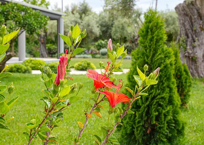 Aerinos Private Lefkada City